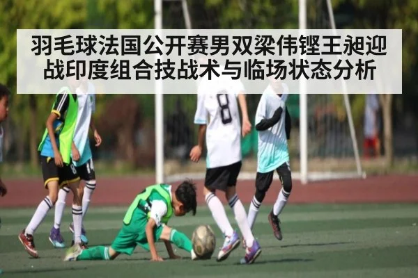 羽毛球法国公开赛男双梁伟铿王昶迎战印度组合技战术与临场状态分析