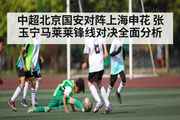 中超北京国安对阵上海申花 张玉宁马莱莱锋线对决全面分析